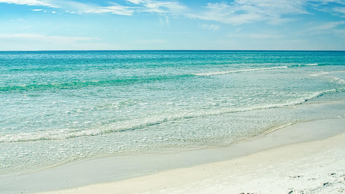 CASSINE GARDENS T/H PH 1 - Residential