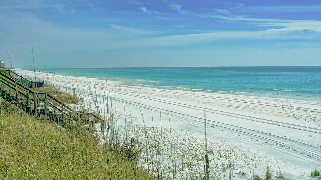 CASSINE GARDENS T/H PH 1 - Residential