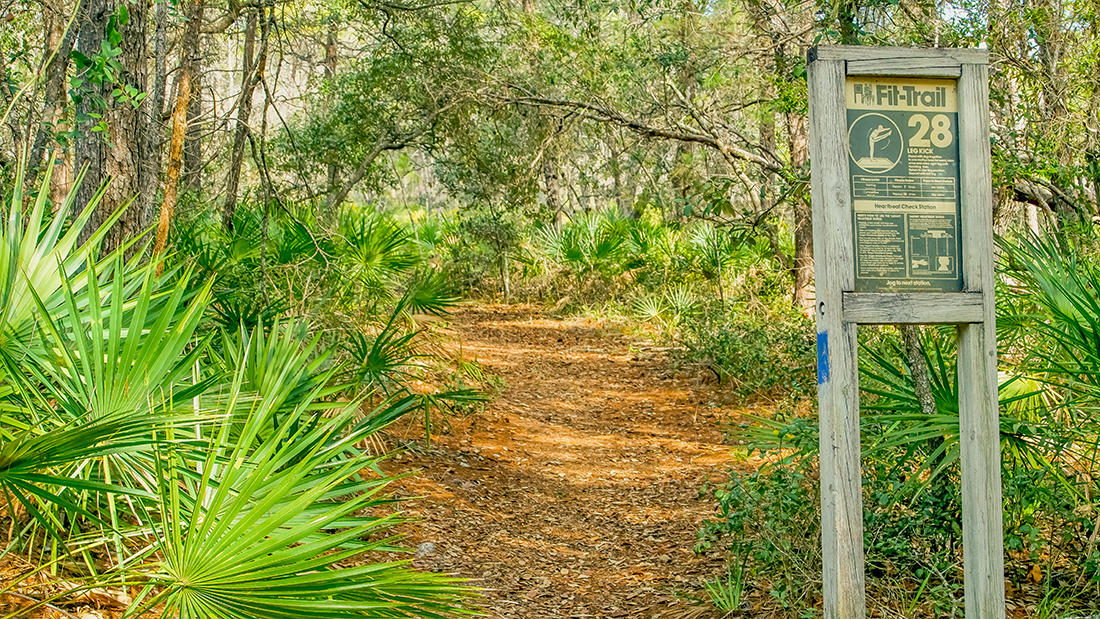 CASSINE GARDENS T/H PH 1 - Residential