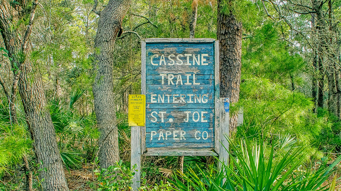 CASSINE GARDENS T/H PH 1 - Residential
