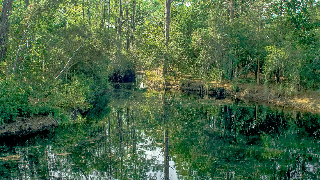 CASSINE GARDENS T/H PH 1 - Residential