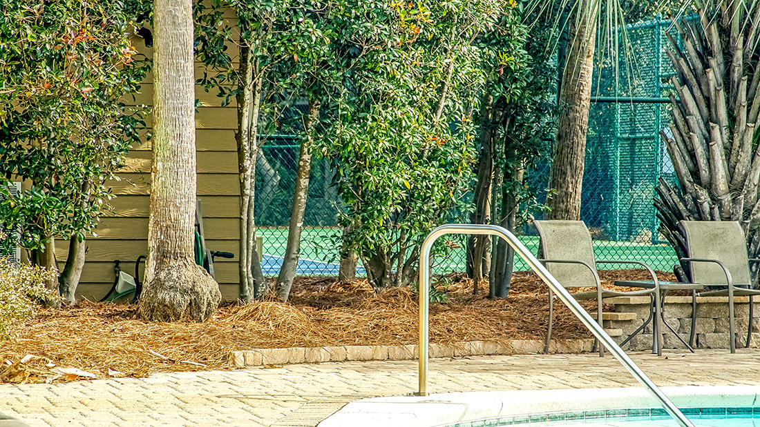 CASSINE GARDENS T/H PH 1 - Residential