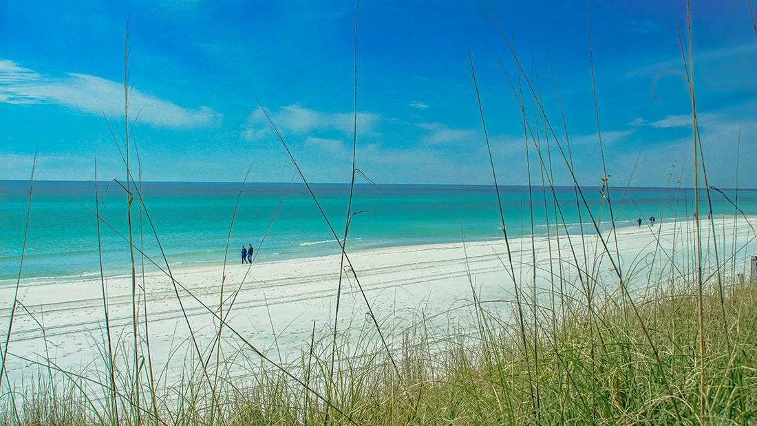 CASSINE GARDENS T/H PH 1 - Residential