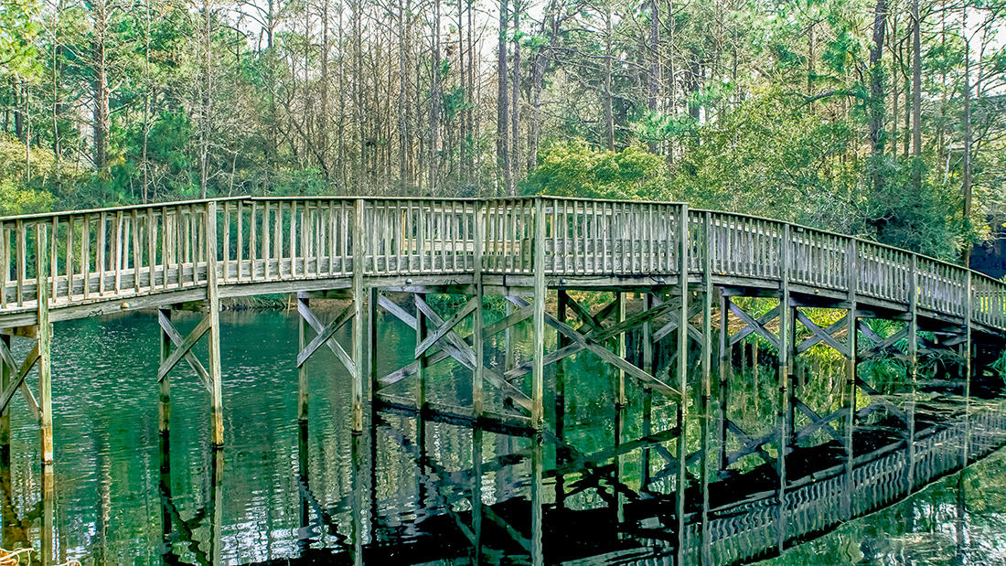 CASSINE GARDENS T/H PH 1 - Residential