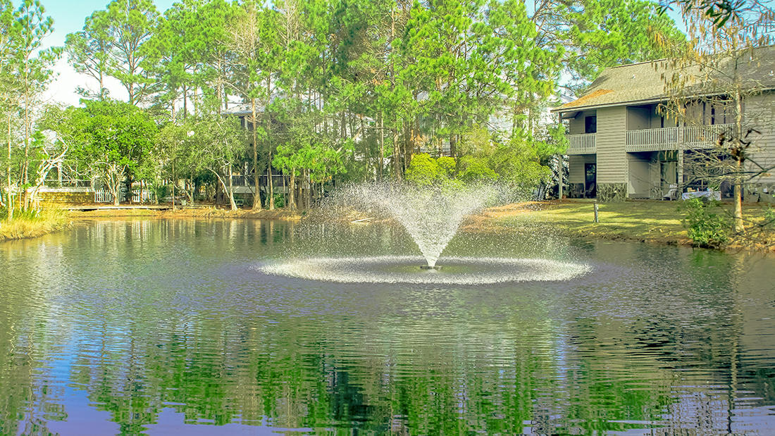 CASSINE GARDENS T/H PH 1 - Residential
