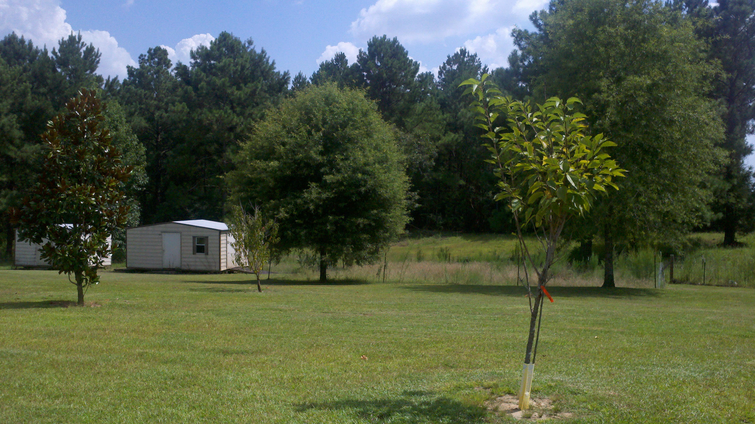 LADON FARMS UNREC - Residential