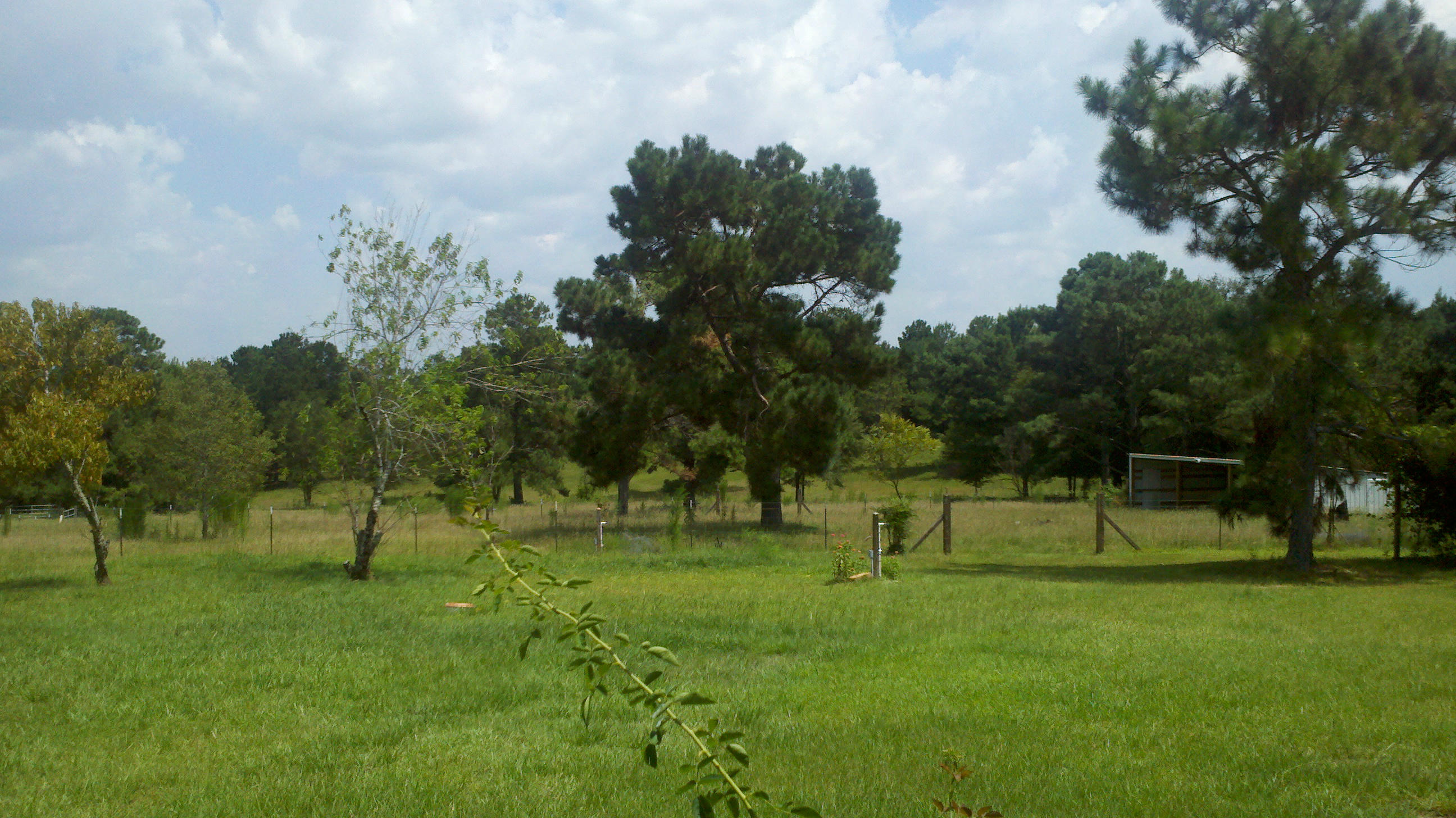 LADON FARMS UNREC - Residential