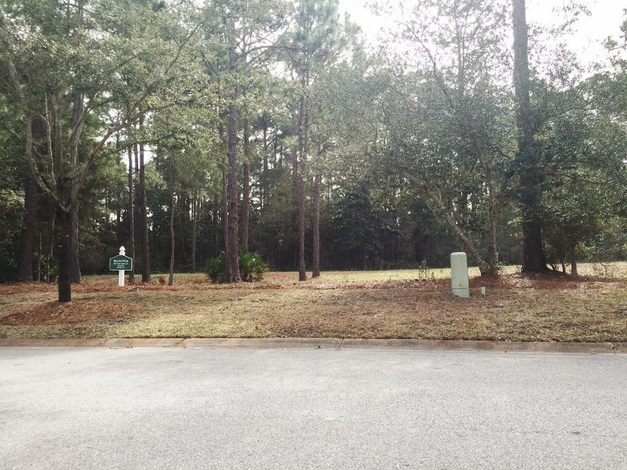 Motivated seller. Beautiful lot in Pine Valley. Lot backs up to a green belt area that will never be built on. Recently surveyed, stake's are there to identify. Copy of survey in documents. The Seller is/or related to the listing agent who holds an active Florida real estate license.