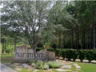 Premium oversized lot in the prestigious neighborhood of Harmony. Beautiful hardwoods and a very private location at the end of the cul de sac. The CDD fee is paid! Hammock Bay is a premier, 3000-acre, lifestyle community offering world class amenities at affordable price. A master planned community w/clubhouse, fitness ctr, resort style pool, lap pool, playgrounds, tennis, basketball, pet park, walking trails and sidewalks. Sports Complex inc soccer,baseball fields, tennis, basketball,tennis. Bayclub is located on 480 ft of shoreline alongside the Choctawhatchee Bay. All dimensions are approx and should be verified by Buyer. Hammock Bay is located in a Community Dev District, HOA fees are $139/month, 05% maintenance fee required.