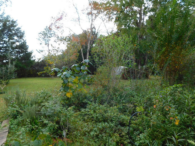 METES AND BOUNDS - Residential