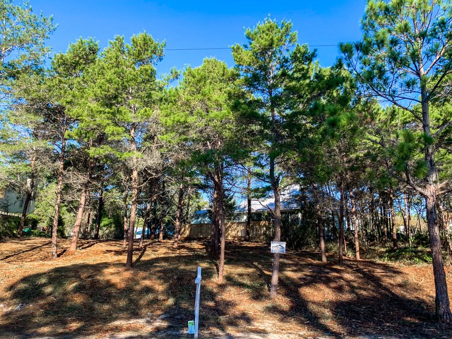 ***JUST REDUCED!***Looking to build an incredible home without breaking the bank? This cleared lot is the PERFECT place build your slice of paradise. With NO HOAs and only a 1/4 mile to beach access, begin dreaming of what this lot can become. This location is perfect for many uses such as a primary residence, or an investment or vacation home!