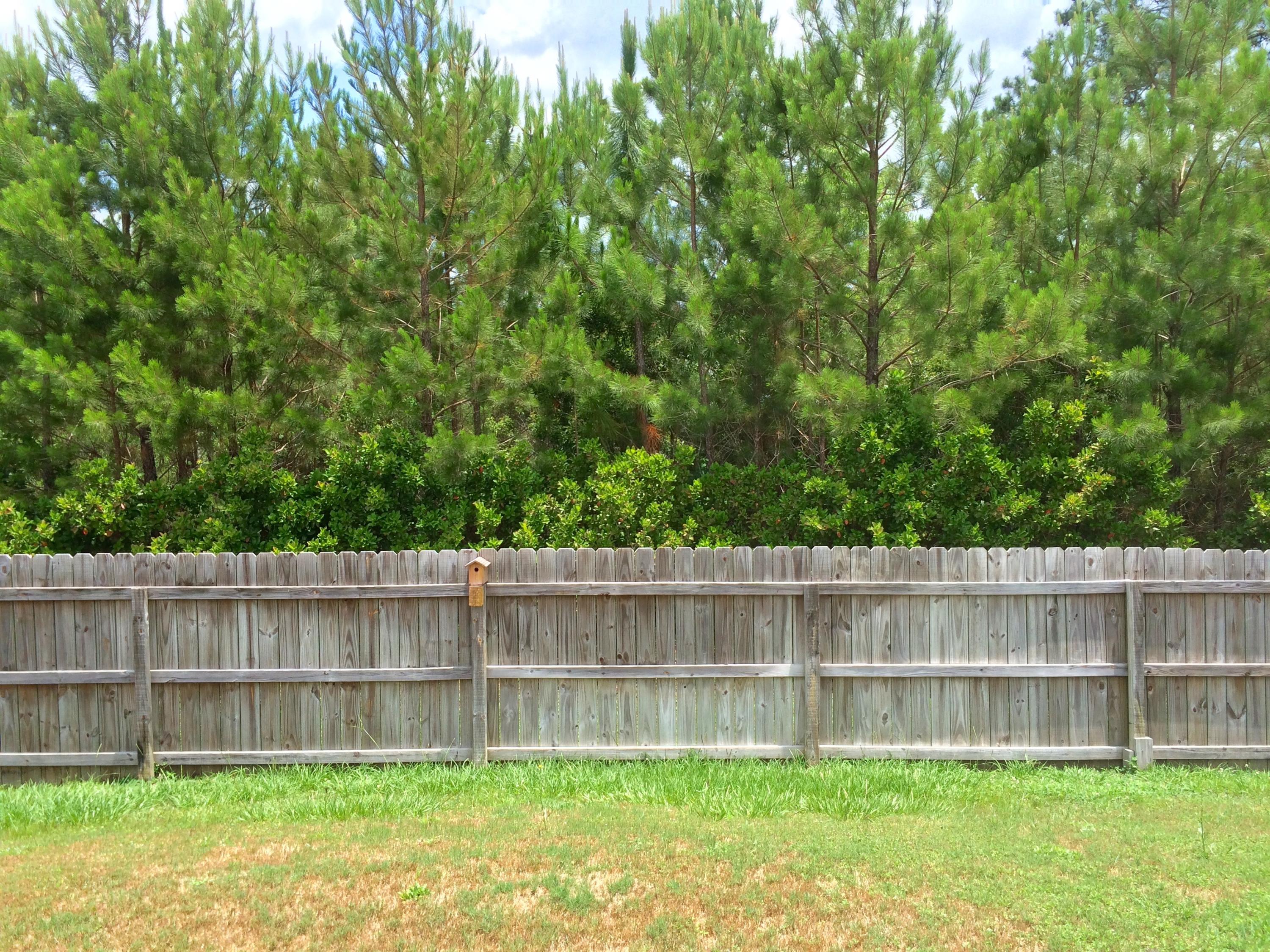 BRANDON OAKS - Residential