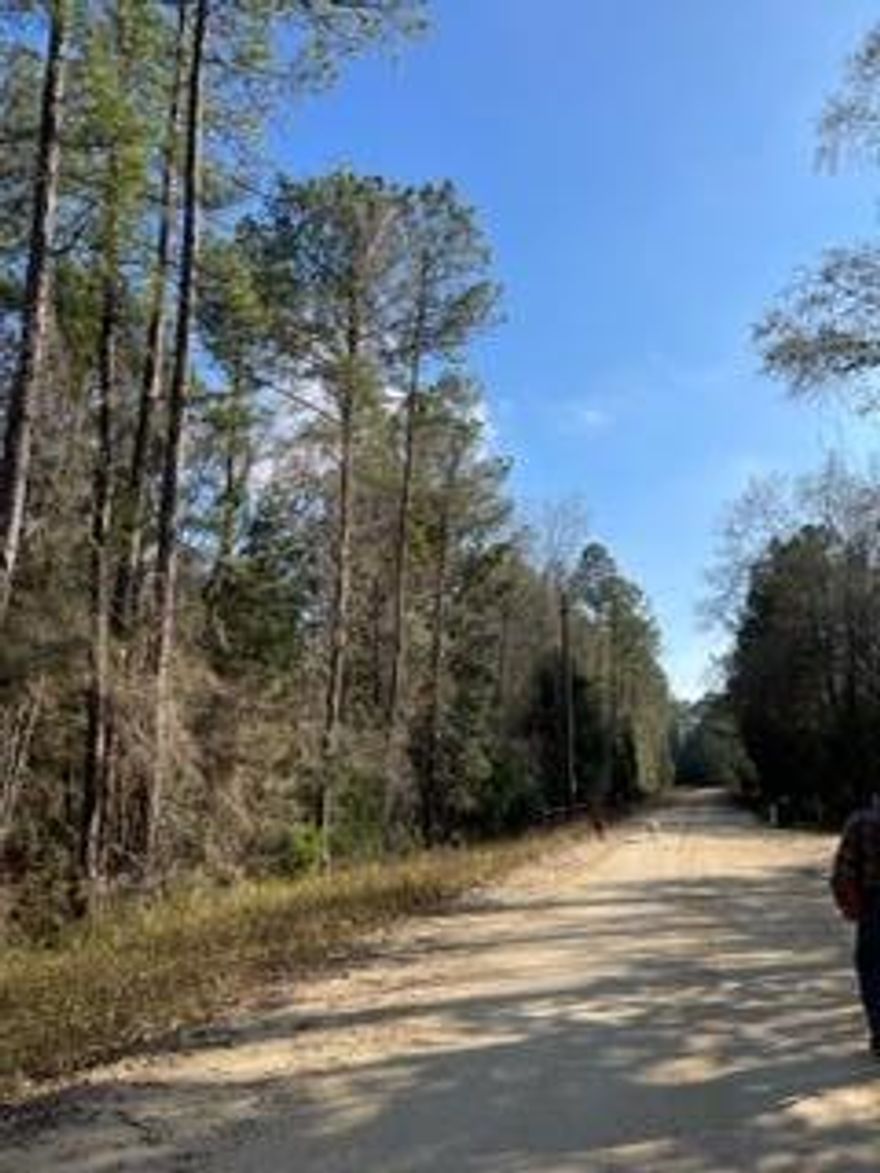 HUNTING and/or HIKING AT IT'S FINEST. This is a beautiful piece of property with a stream on the rear parcel that will provide hours of hiking and exploring for anyone wanting to get away from the hustle and bustle of the City. Located at the end of Miles Martin Road is an over 10 acre paradise that is untouched and family land that has only been used for hiking, hunting and exploring. Come see today.