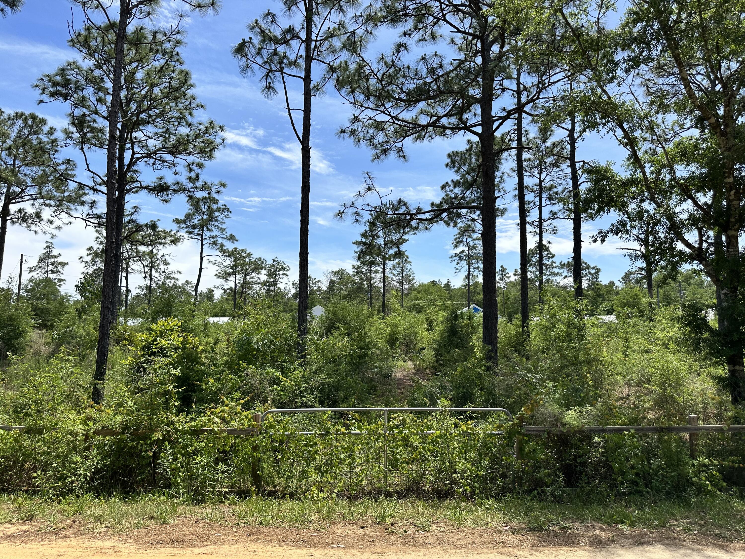 OAKWOOD LAKES ESTATES - Land