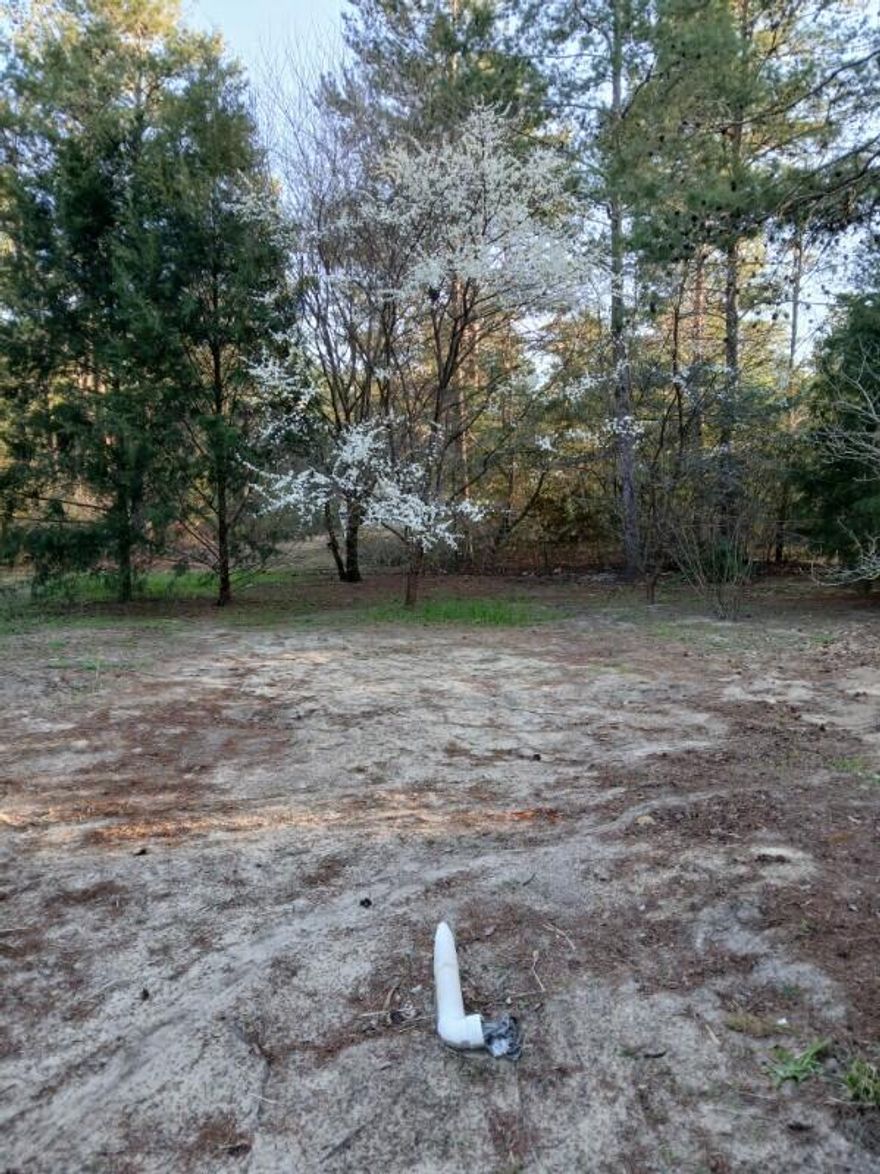 ''WHY $16,500, because this lot has already been mostly cleared, has septic in place (recently serviced), has a well pump and there is power line at the road juncture. No restrictions and no association fees so this vacant lot is the perfect canvas upon which to build your dream home, vacation home, or to put a manufacture home. The Panhandle of Florida has one of the most beautiful beaches with it's white sands within an hour or less drive time and just outside of the fast growing Defuniak Springs. Don't miss out on this opportunity to own your piece of paradise!