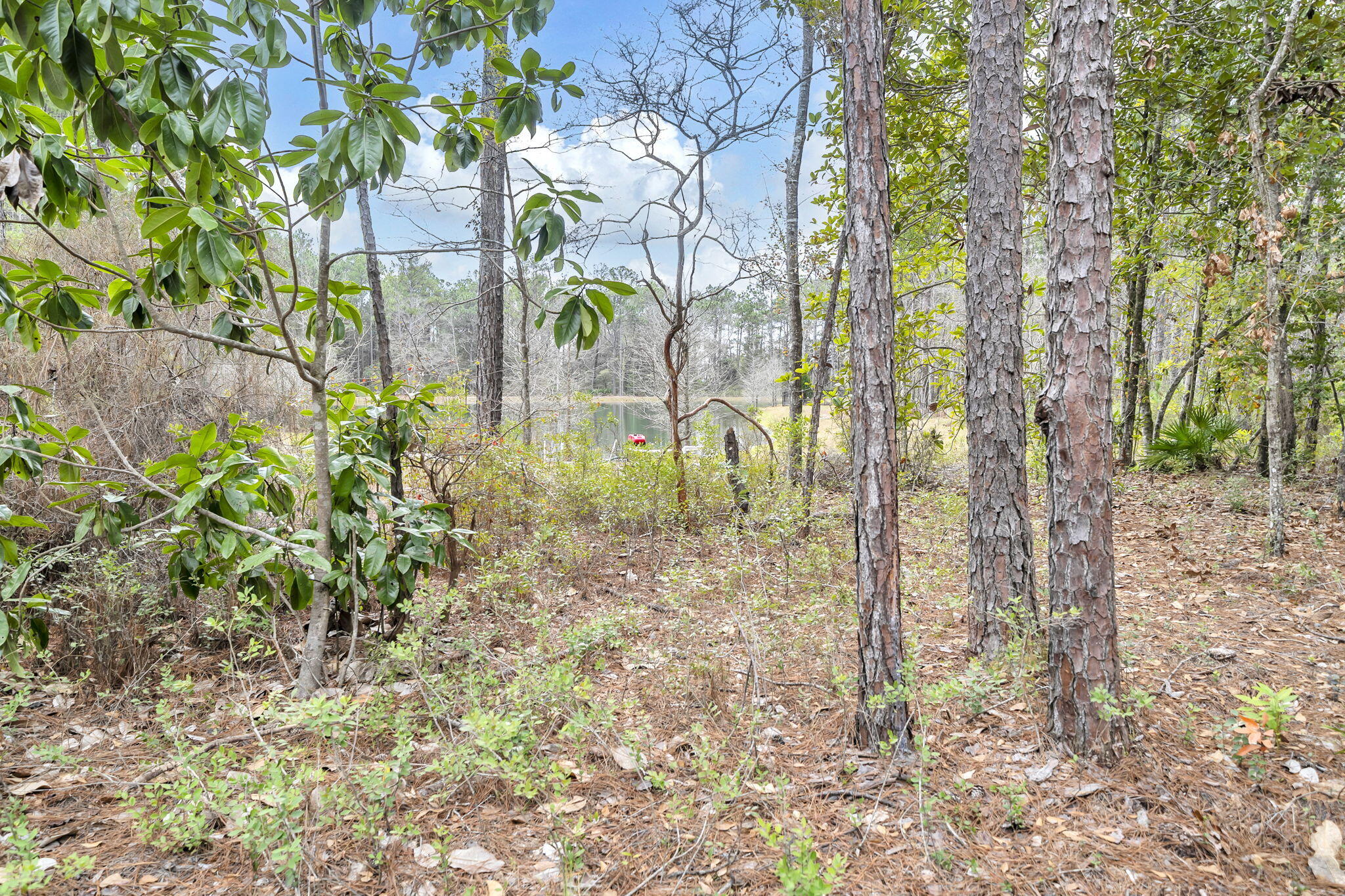STEAMBOAT LANDING - Residential