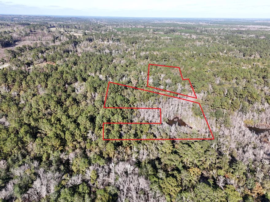 5.2 Acres! in Walton county Here is a great opportunity to build your secluded new home or park your camper for a weekend or holidays retreat!!  NO HOA unrestricted Located within a short distance from Ronnie E Bell Park at Commander Landing in Walton County, FL and just a few miles from well known Vortex Springs park in Ponce De Leon. This parcel offers plenty of nature, outdoor activities such as hunting and trail hiking that you could enjoy in the privacy of your own property.  Gps Coordinates : 30.628802847116166, -85.9371485302165