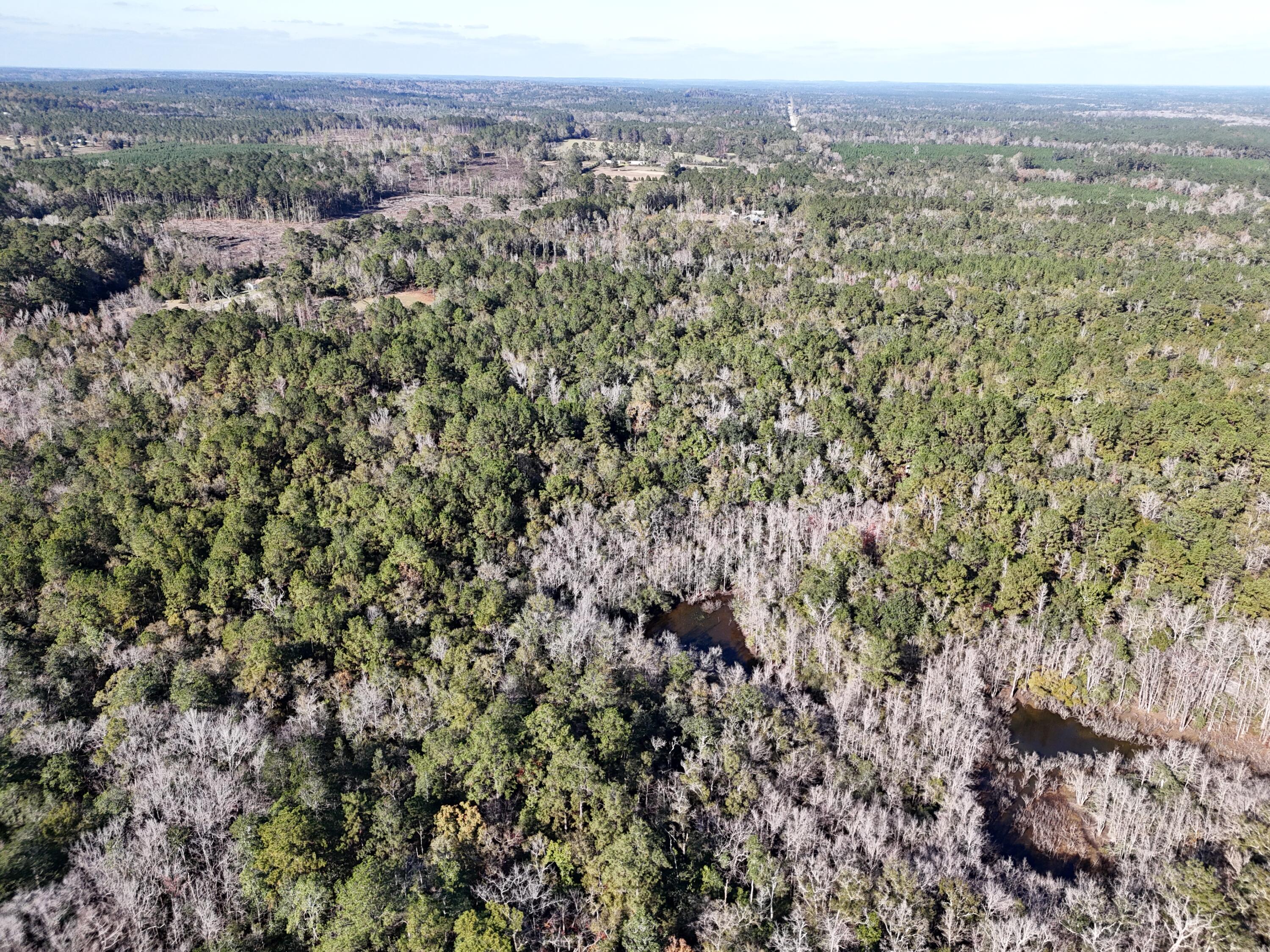 NO RECORDED SUBDIVISION - Land