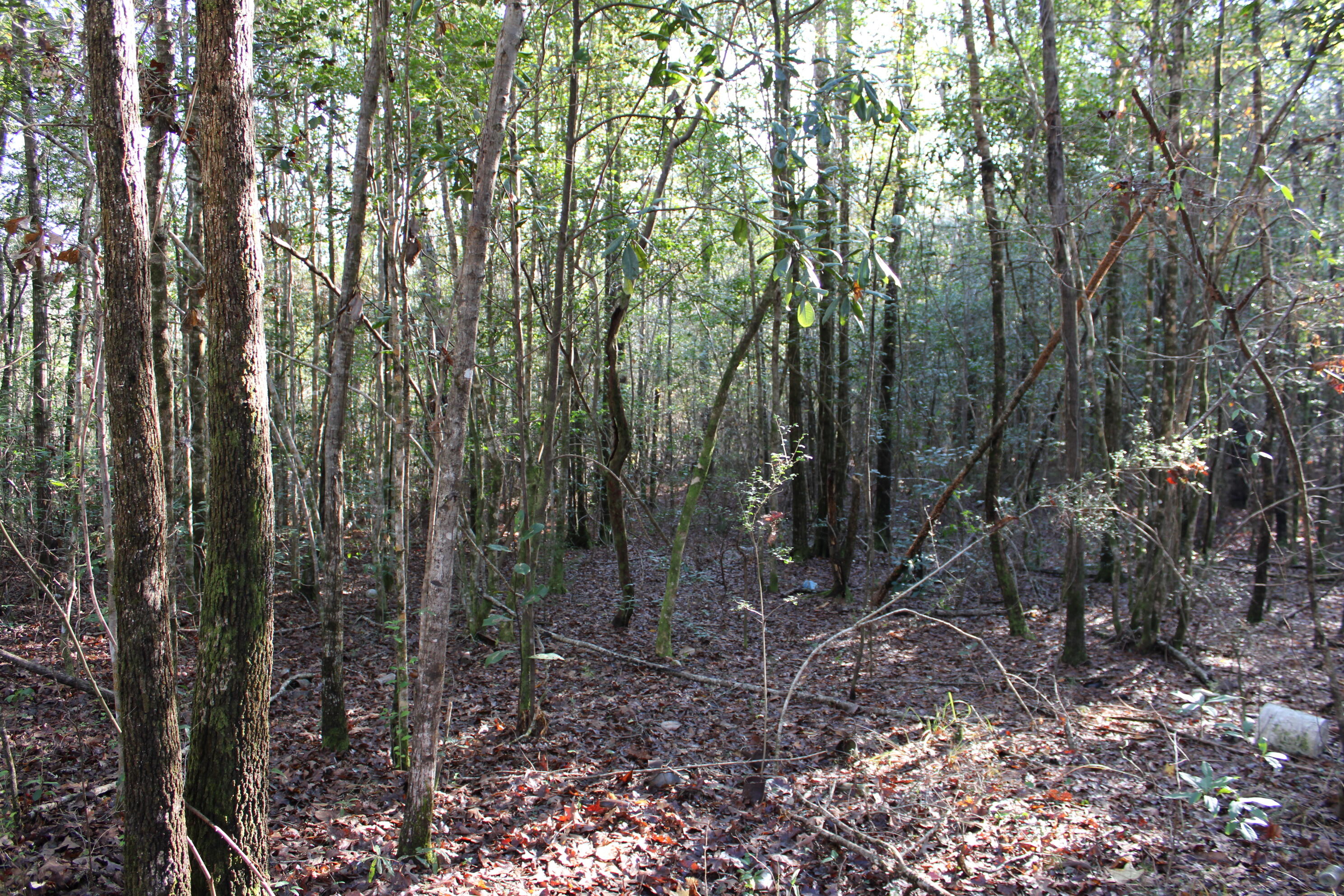 NO RECORDED SUBDIVISION - Land