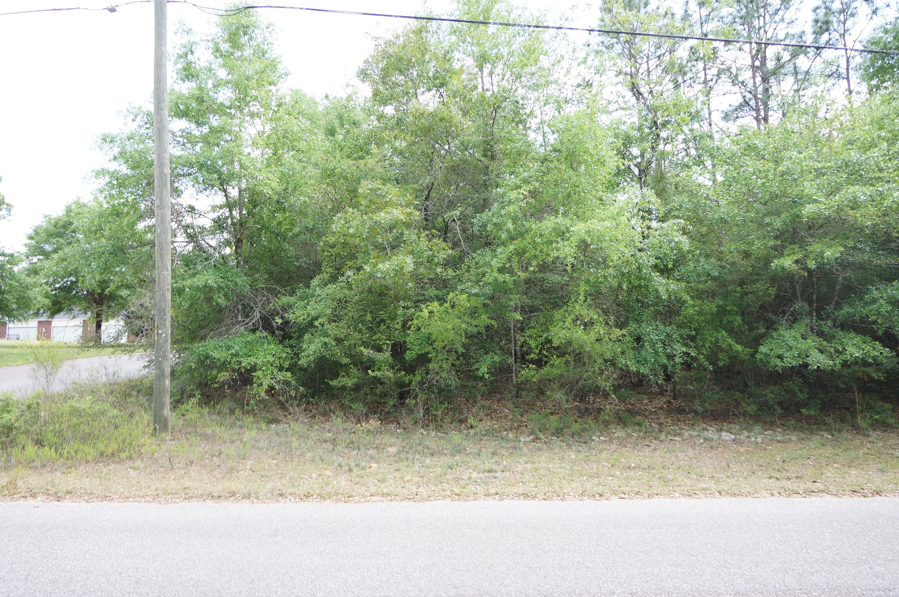 This is it!!! Your opportunity to build your dream home in Mathison Creek S/D. This is a LEVEL 1 acre lot on the corner of Sam Carver and Grants Pass. Just outside the city limits you have the country feeling yet close to everything.