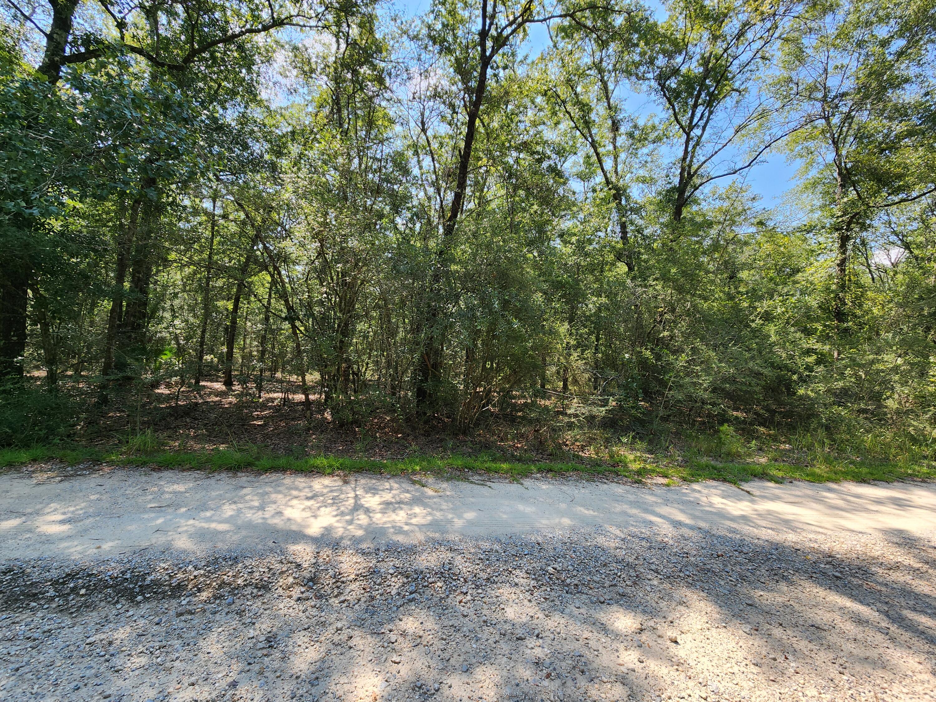 SPRING HILL ESTATES - Land