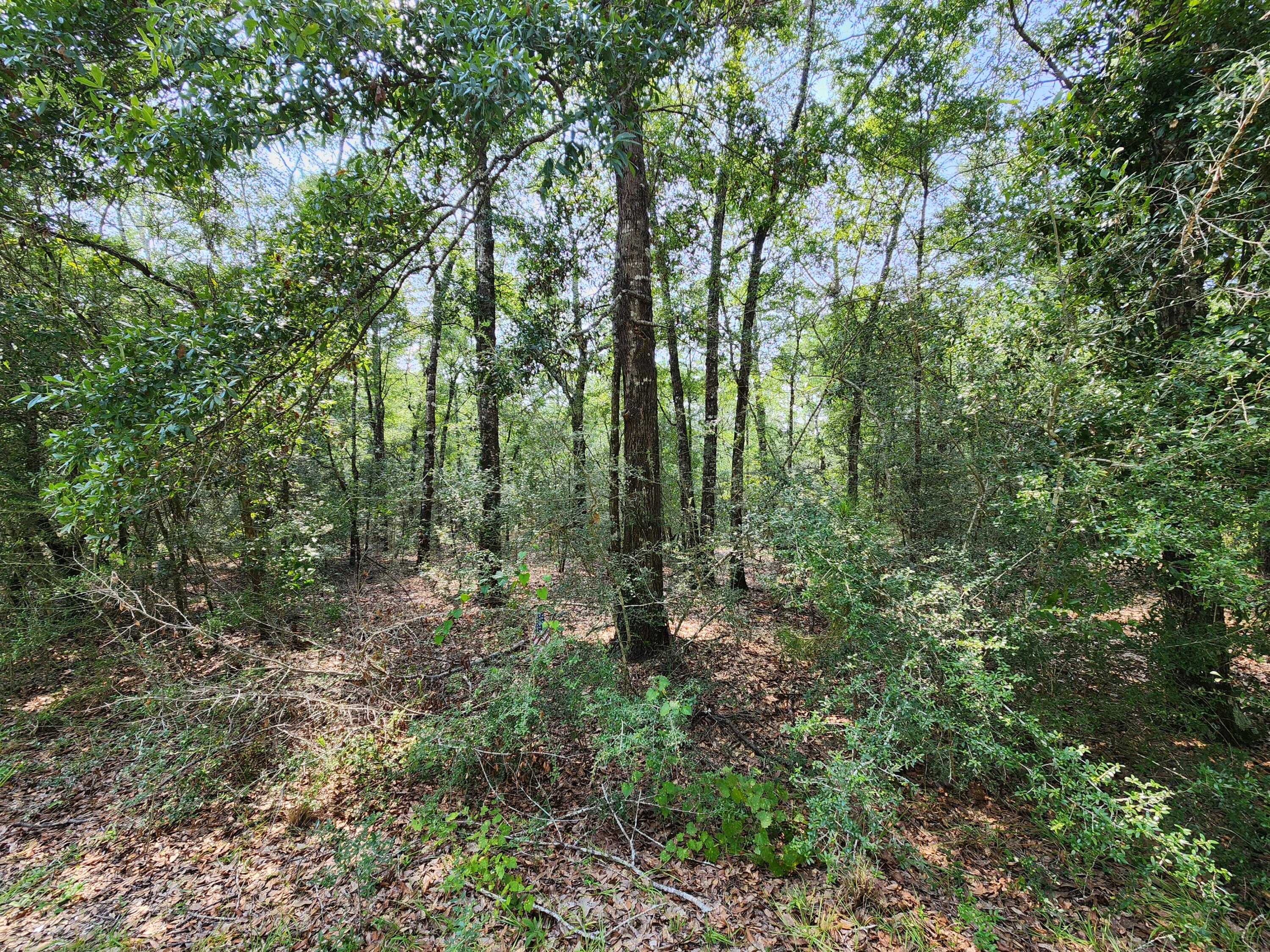 SPRING HILL ESTATES - Land