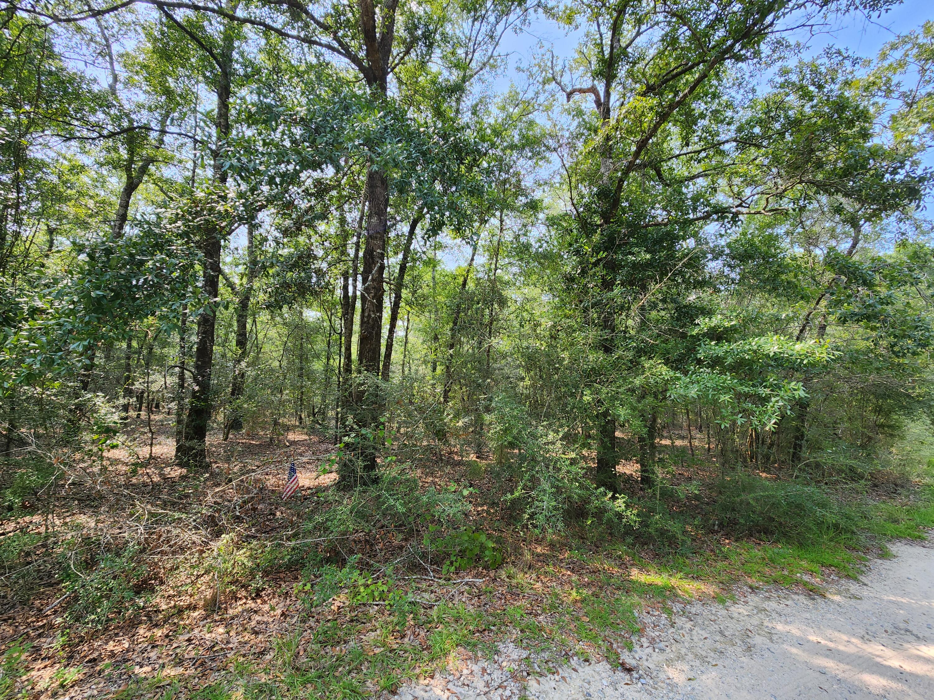 SPRING HILL ESTATES - Land