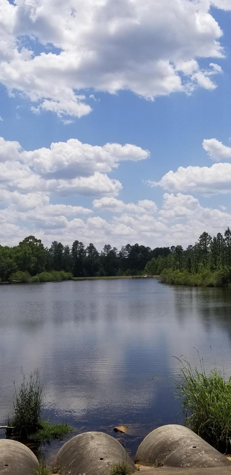 LAKE ARTHUR ESTATES - Residential