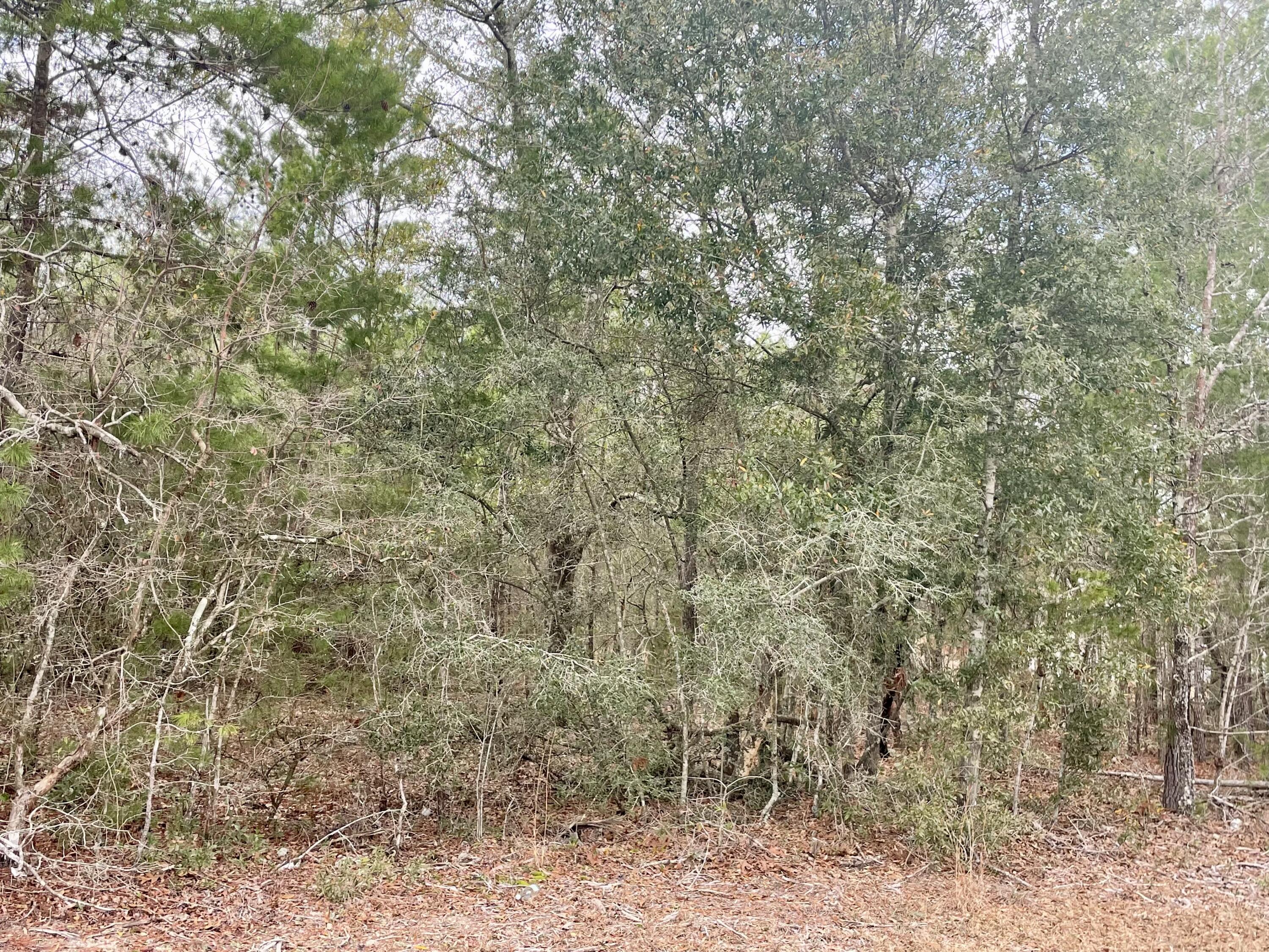 Juniper Lake Estates Unit 6 - Land