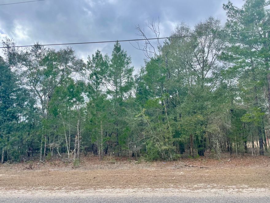 1 acre wooded lot North of DeFuniak Springs. Perfect spot for building your new home or a new manufactured home. Lot sold as is. Buyer to perform all due-diligence. Tap fee due, septic needed. Power at Road.