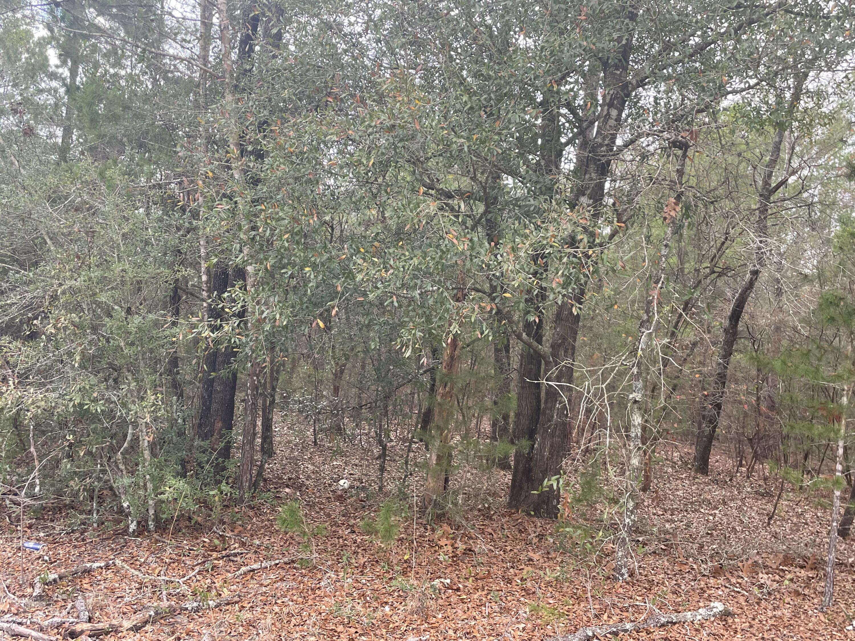 Juniper Lake Estates Unit 6 - Land