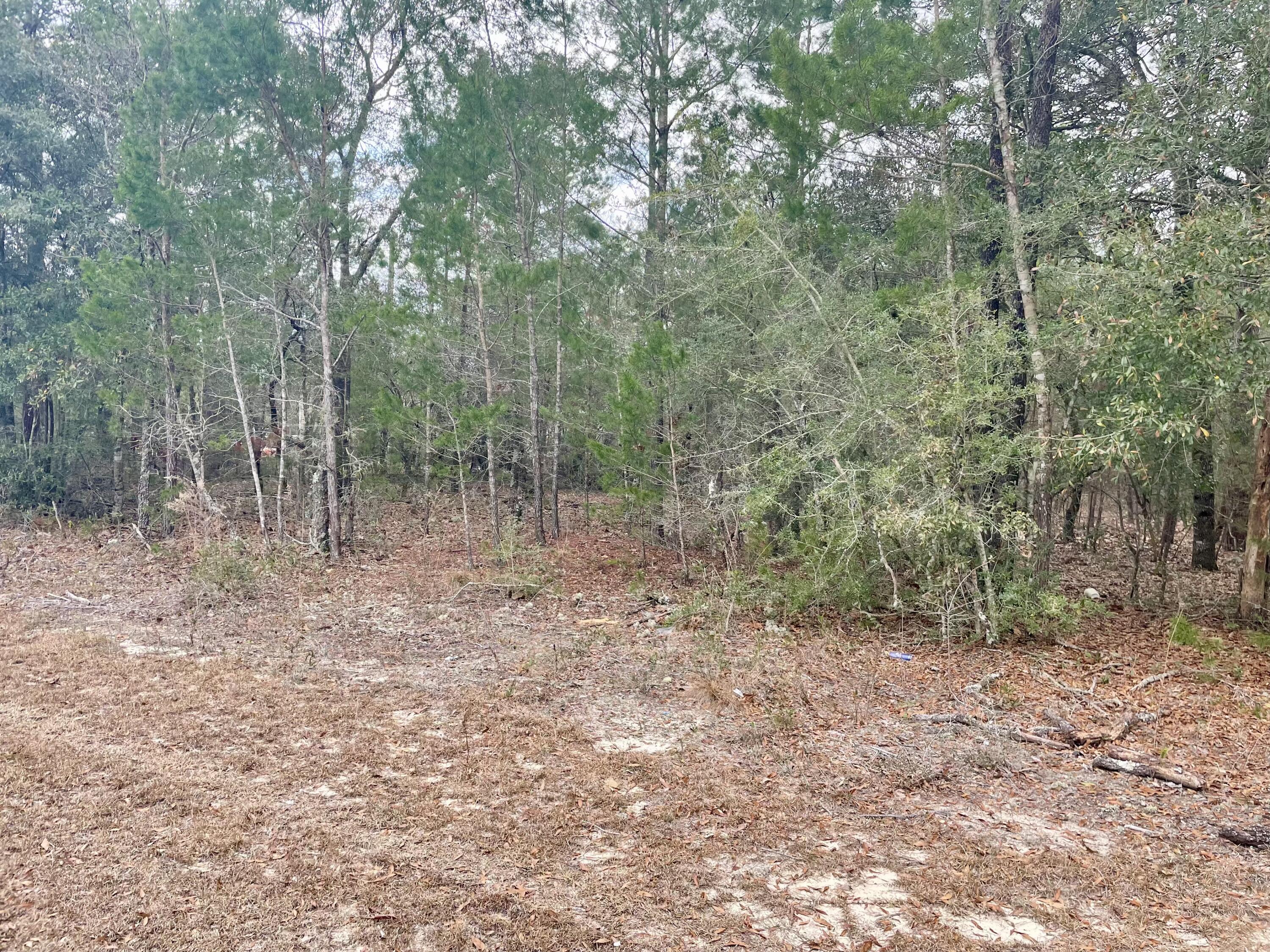 Juniper Lake Estates Unit 6 - Land