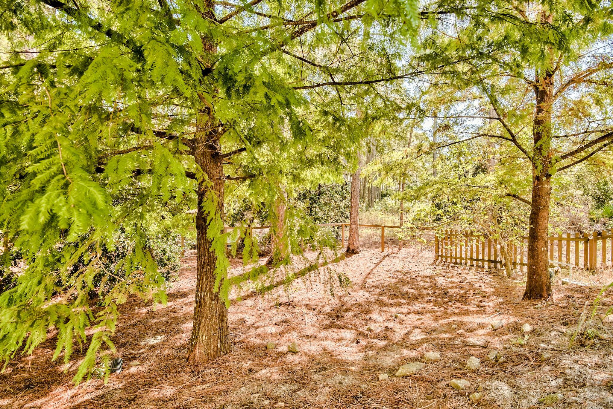 Sea Dunes - Residential