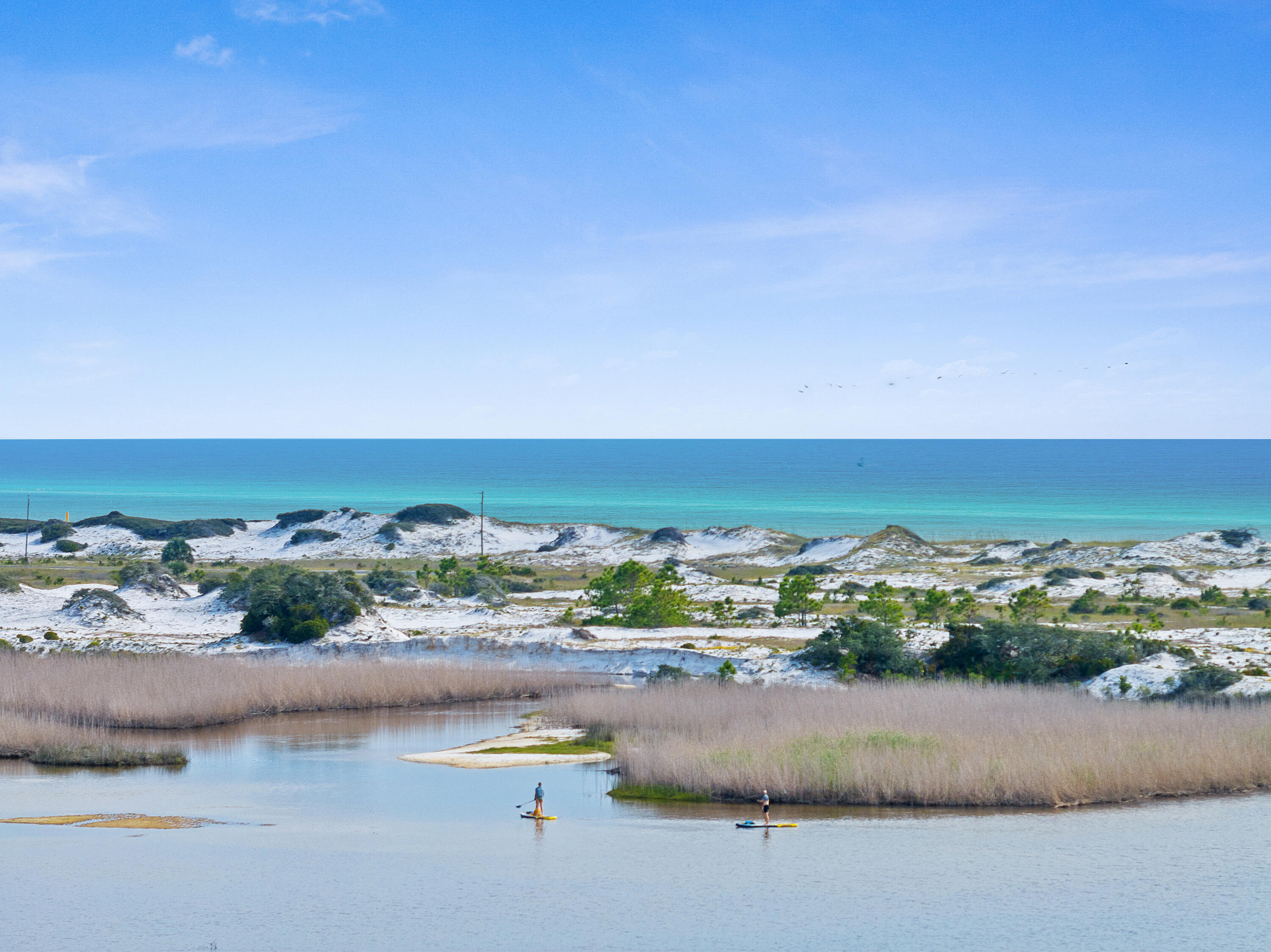 LAKE PLACE AT GRAYTON BEACH - Residential