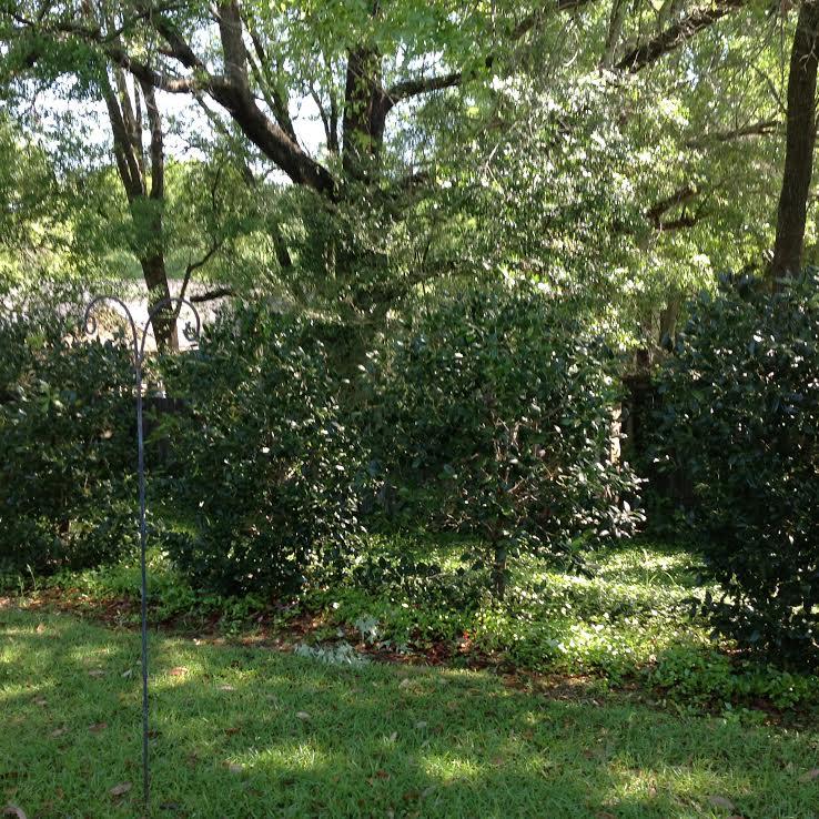 BROOKE ESTATES PH II LOT 11 BLK F - Residential