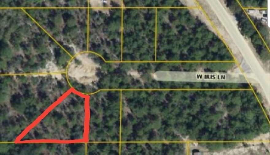 .28 acre, pie shaped lot on a cul-de-sac, Buyer to determine any and all information deemed important or necessary. Seller holds a Florida Real Estate Agent License.