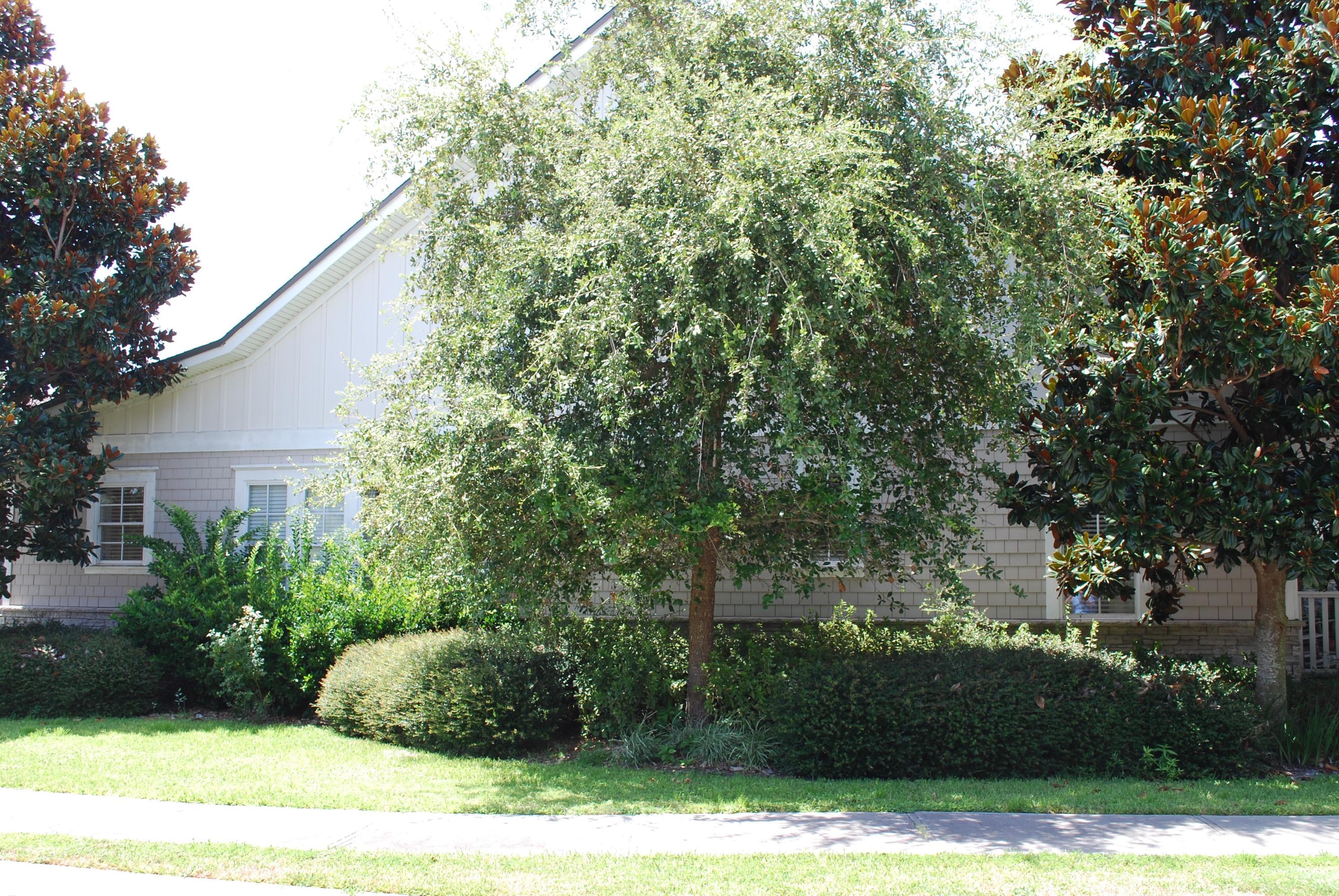 Kelly Plantation - Residential
