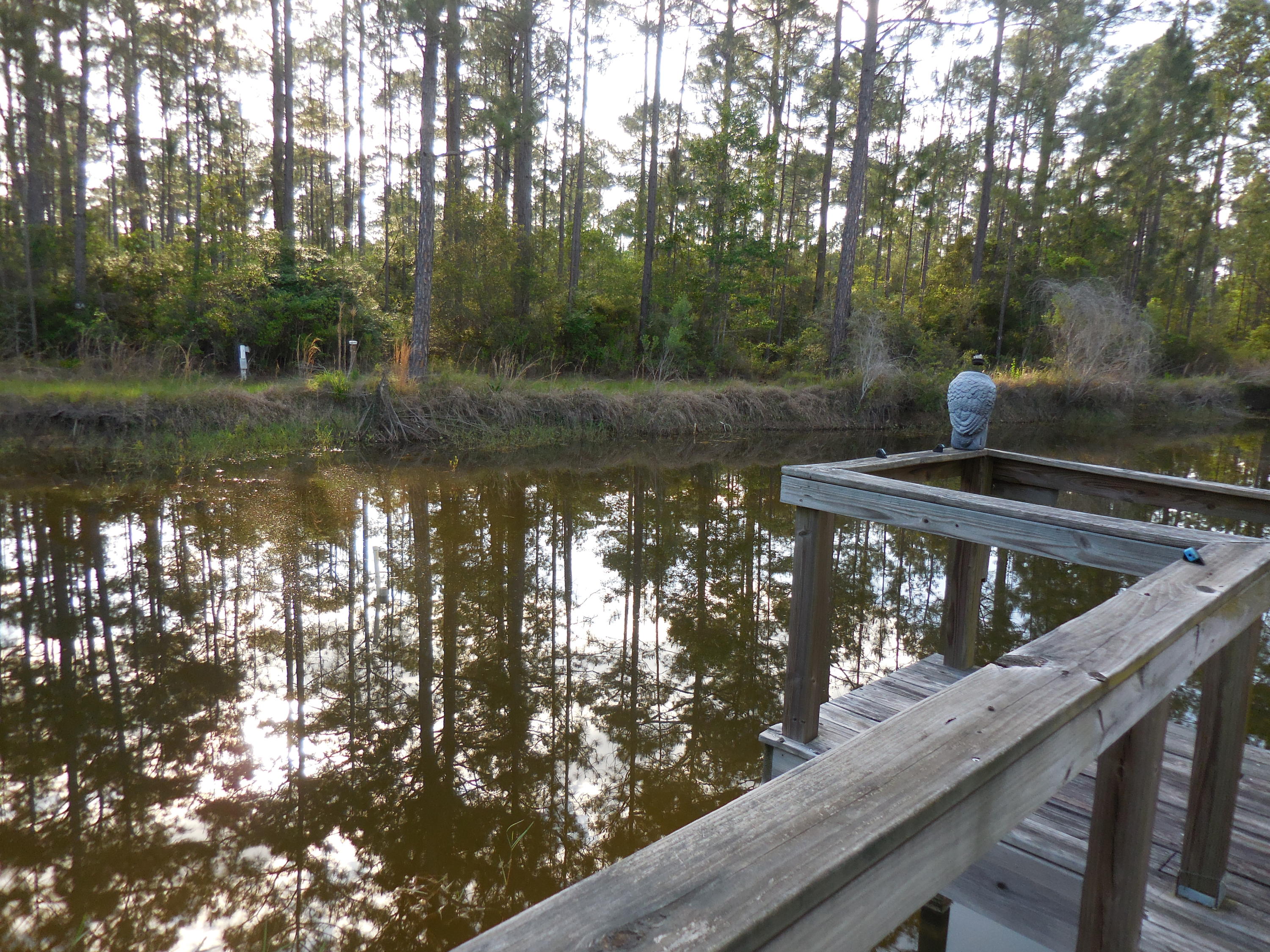 BLACK CREEK area - Residential