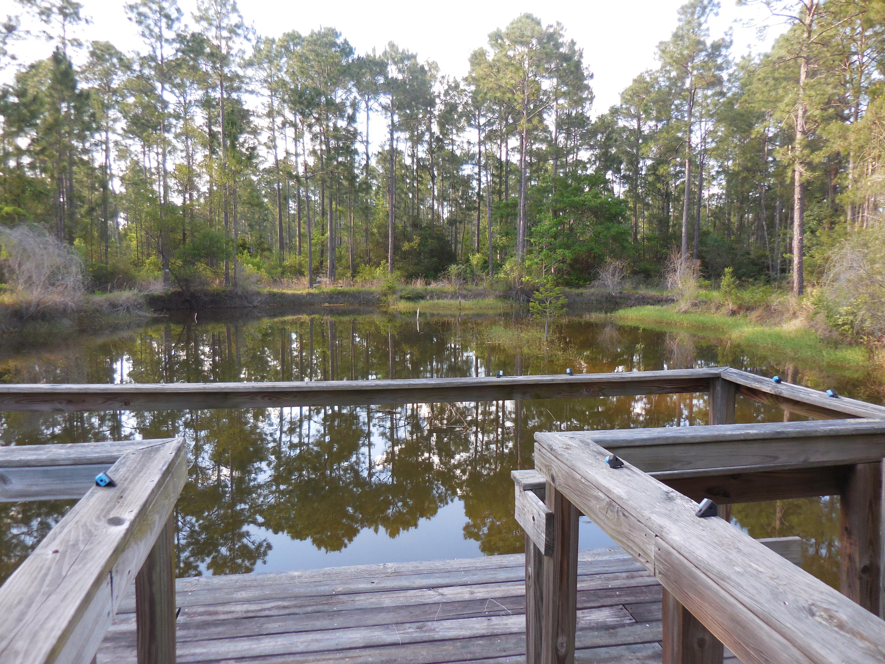 BLACK CREEK area - Residential