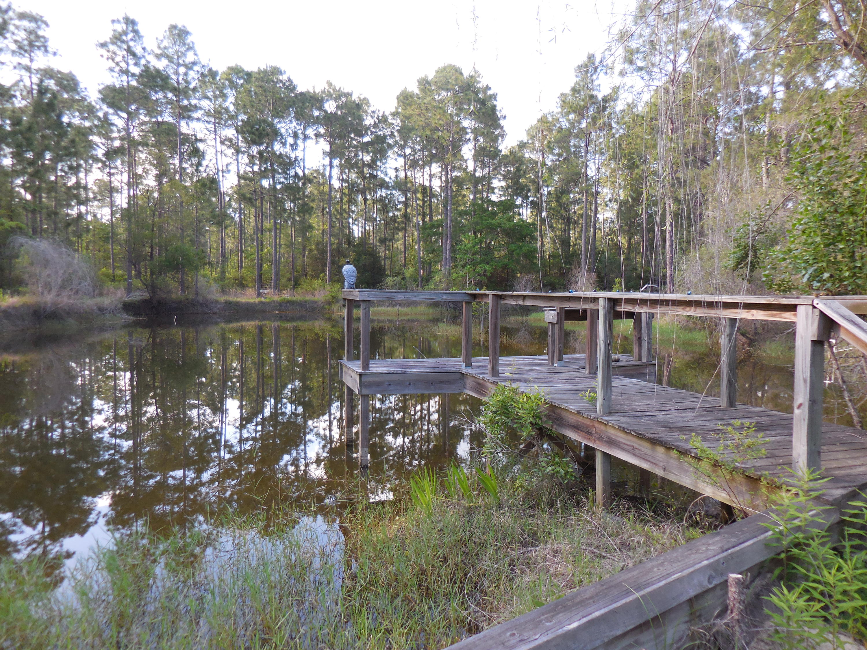 BLACK CREEK area - Residential