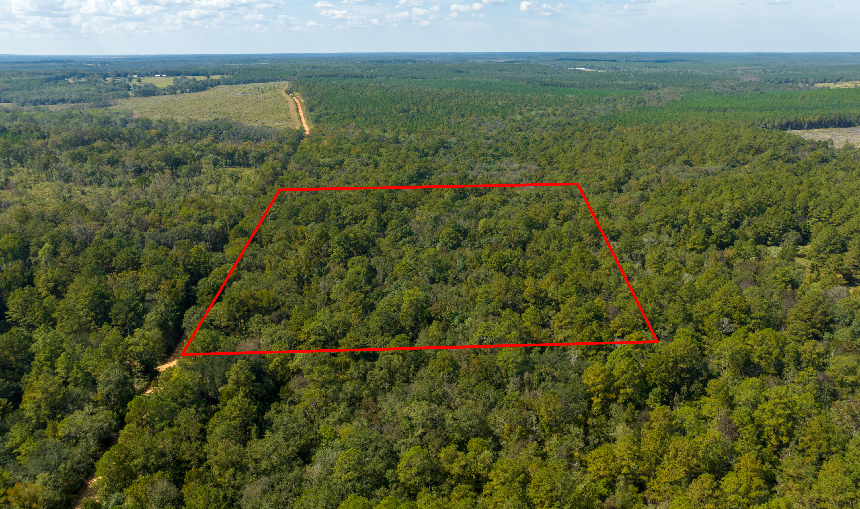 Retreat to 10 acres of beautiful hunting land. The seller has equipped the land with electricity for a camper and a well pump. Fish and swim in Otter Creek which runs through the of the property. Just 10 mins from Vortex Springs a mecca for diving, snorkeling, and swimming enthusiast alike. If you love the water this is the place for you Bring your camper and enjoy the wild life and unfilter stars.