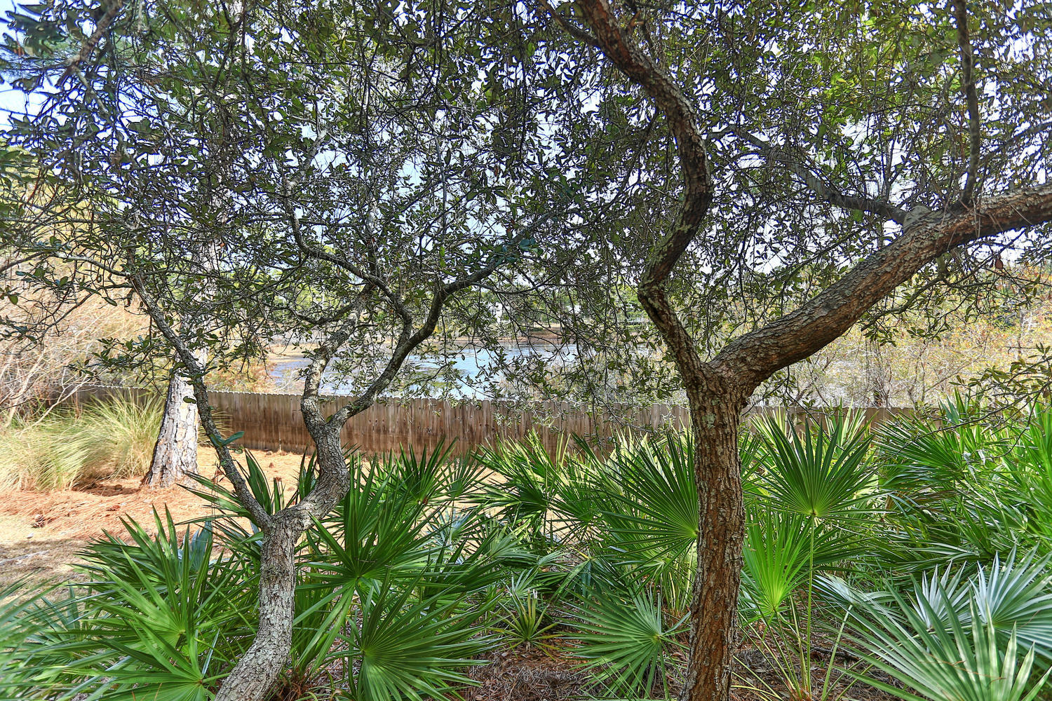 OLD FLORIDA VILLAGE - Residential