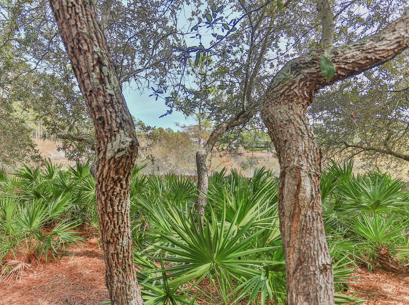 OLD FLORIDA VILLAGE - Residential