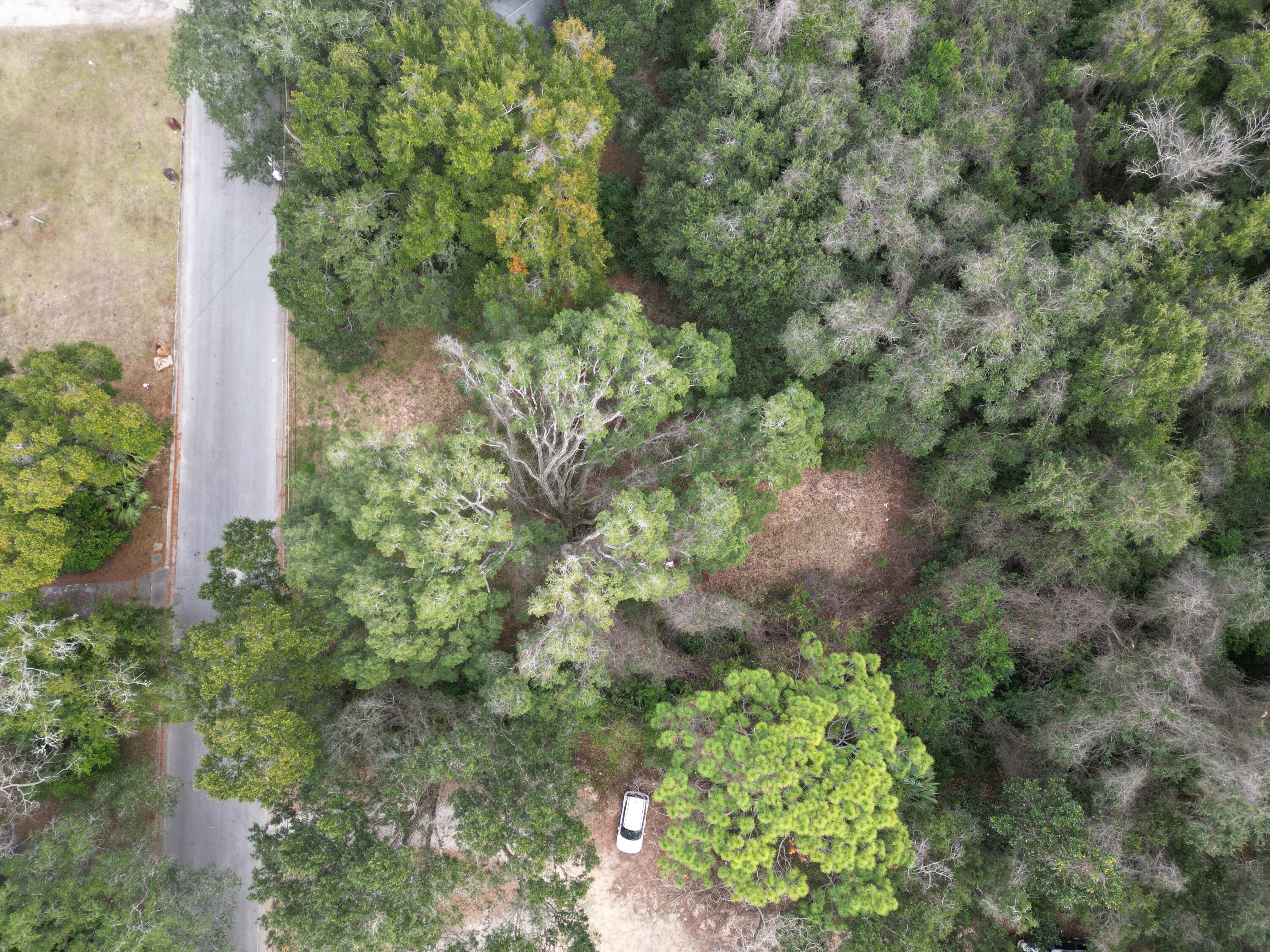 FONTANEL PLACE - Land