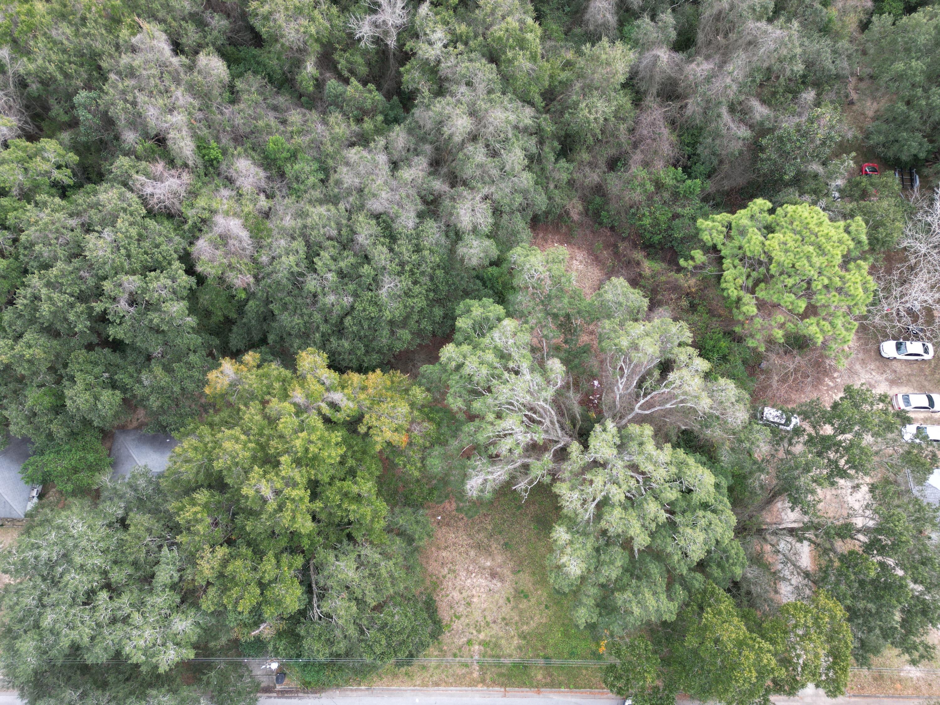 FONTANEL PLACE - Land