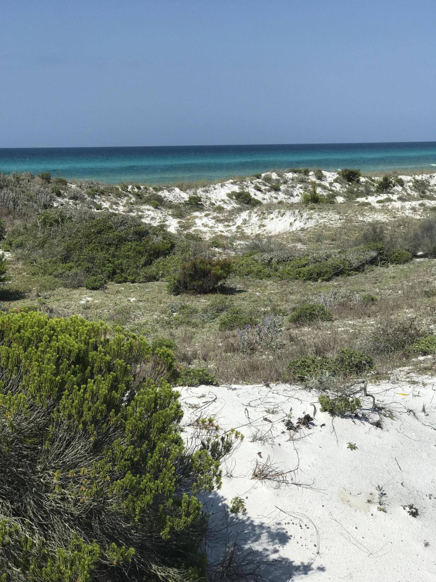 The Ivy At Inlet Beach - Residential