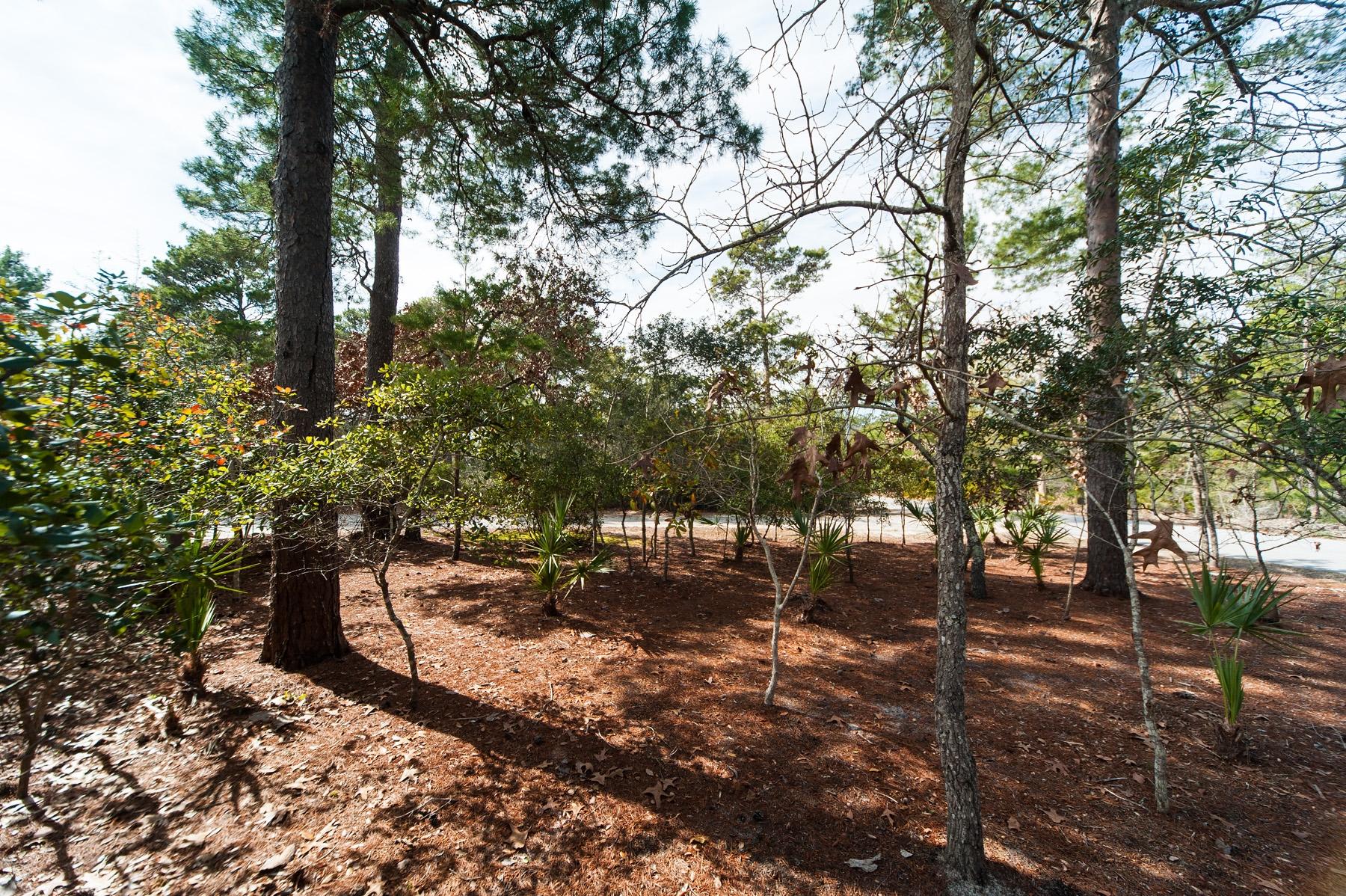 PINES OF BLUE MOUNTAIN - Residential