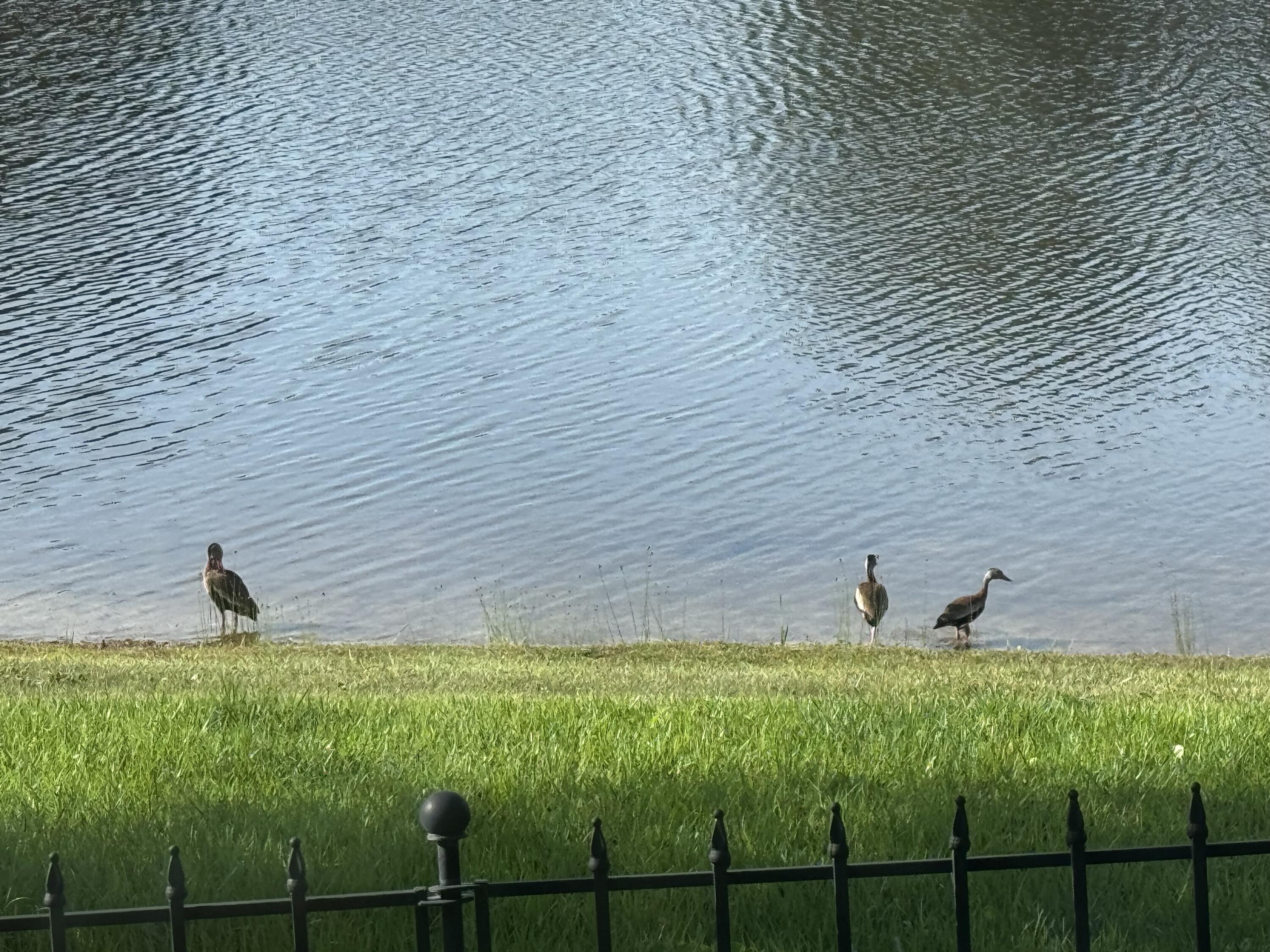 WHISPERING LAKE - Residential Lease
