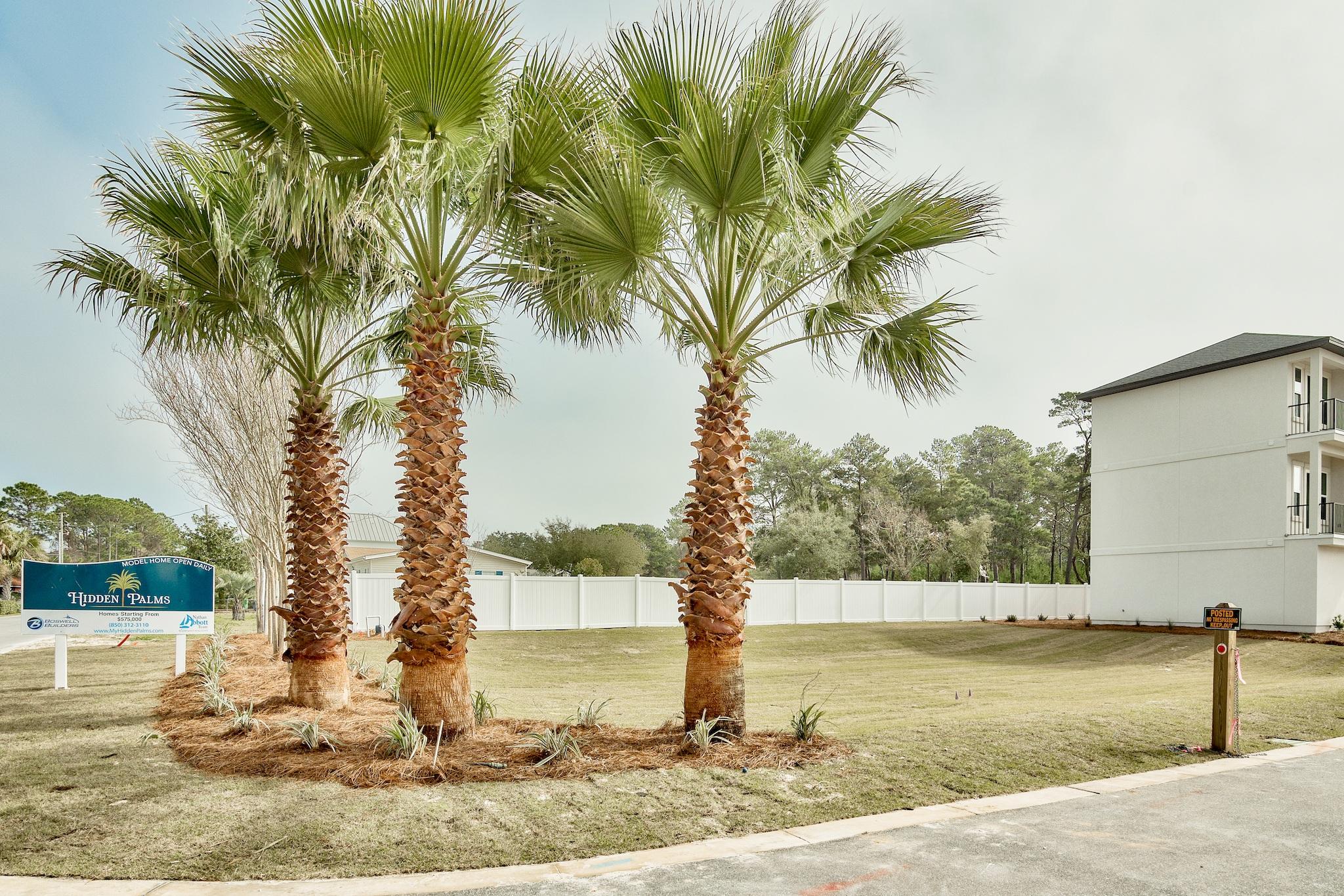 HIDDEN PALMS - Residential