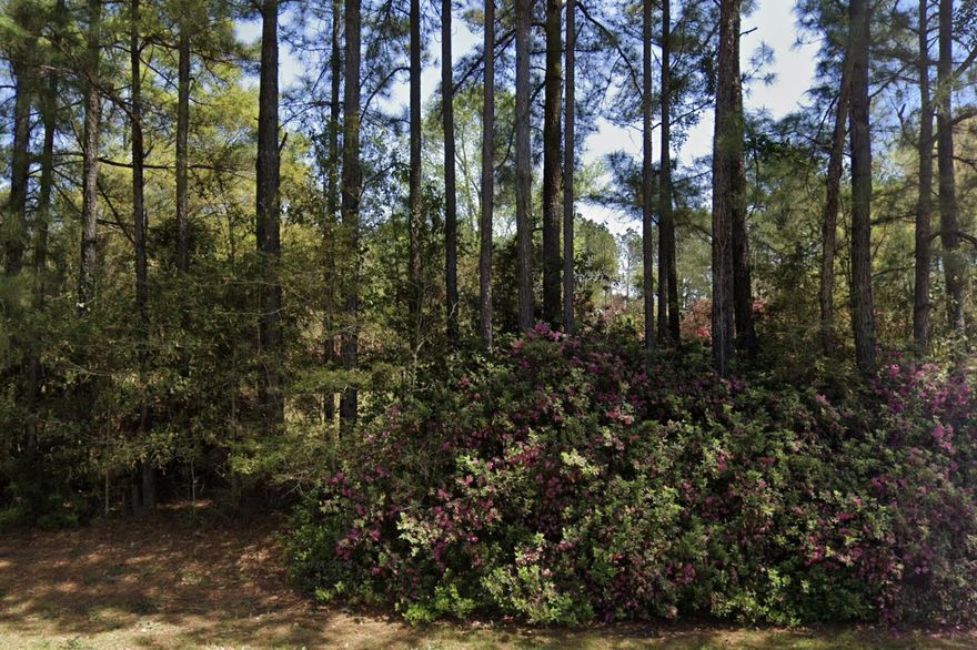 Welcome to 8185 Creston Barrow Road, a unique opportunity to own a beautiful piece of land in the peaceful countryside of Baker, Florida. Situated directly across from the stunning Blackwater State Forest, this property offers the perfect blend of privacy, natural beauty, and convenience.This parcel once housed a residence that has since been lost to fire, but the essential infrastructure remains in place--making it ready for your vision. The property features:Existing Septic SystemPower and Water OnsiteSturdy Barn for Storage or Projects.Peaceful Rural Setting with paved road access and utilities already available.